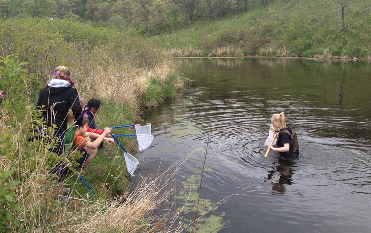 Students critter dipping in marsh