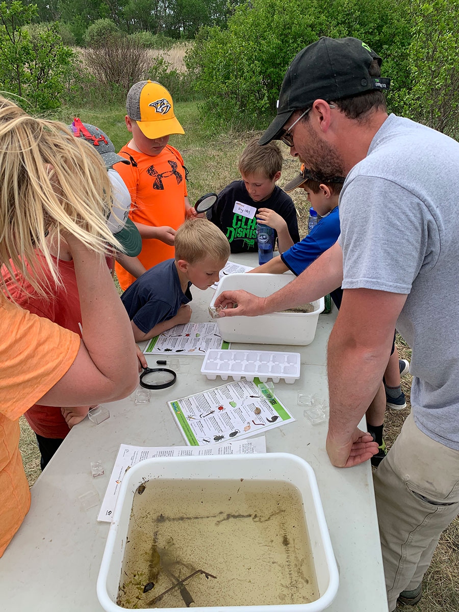 students learning about wetland bugs