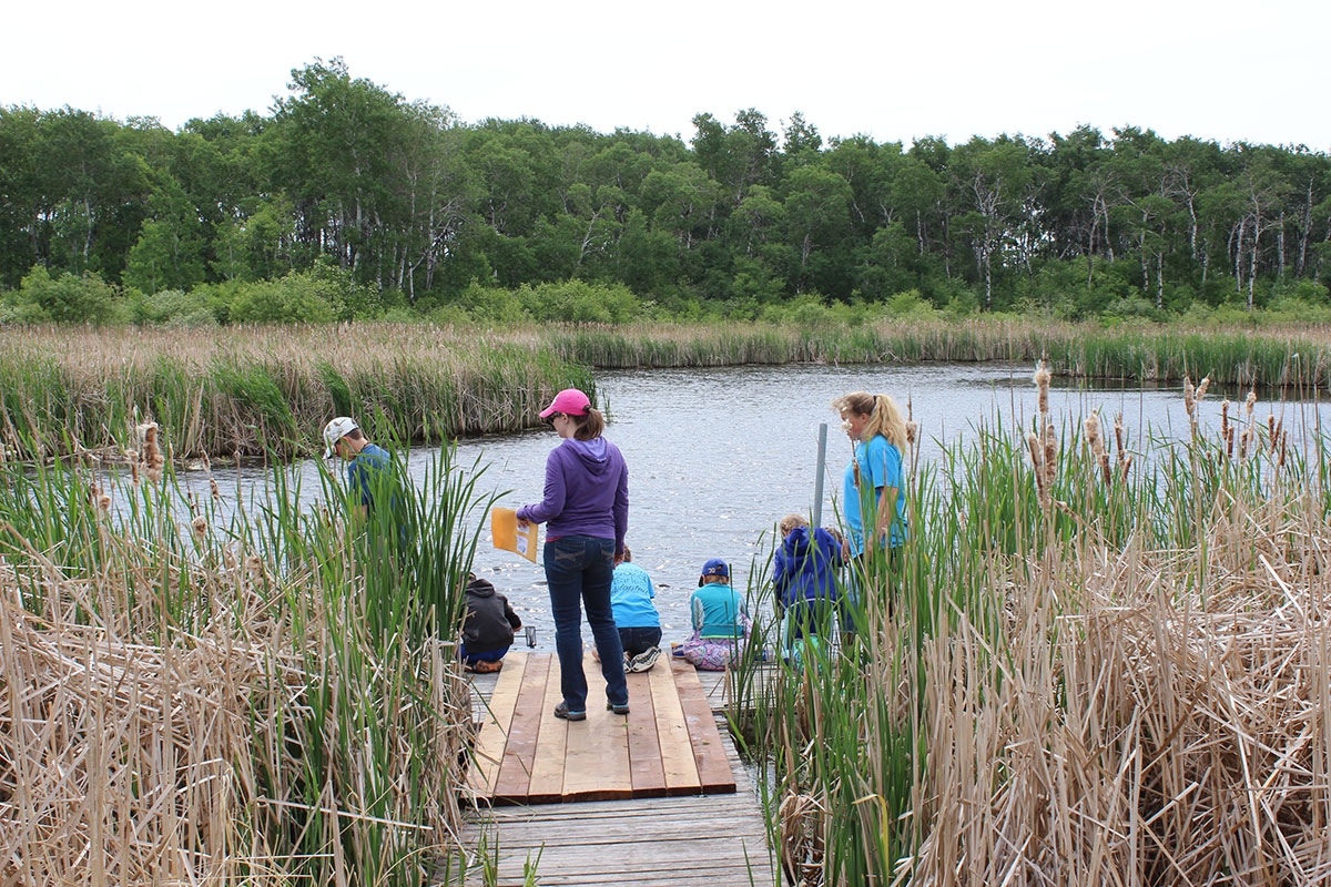 Students in a wetland