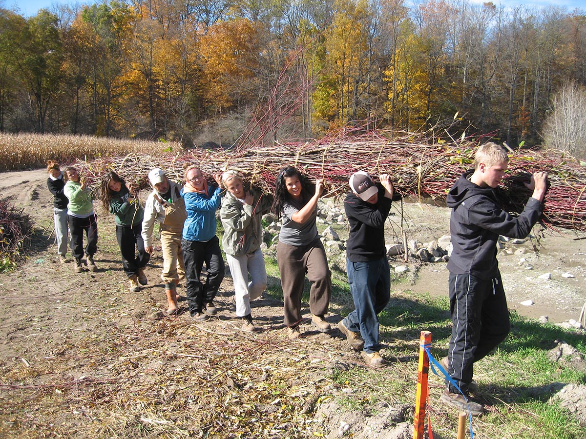 Students participating in streambank restoration