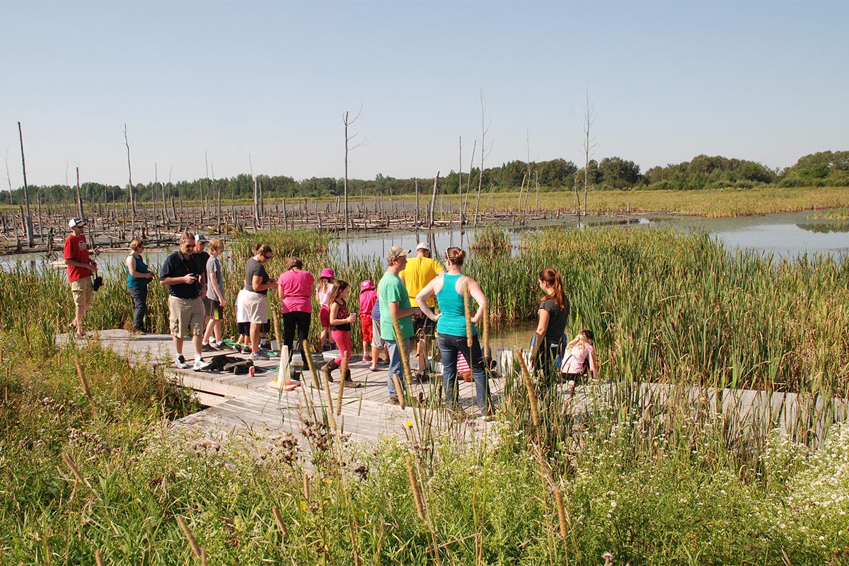 Students on a wetland tour