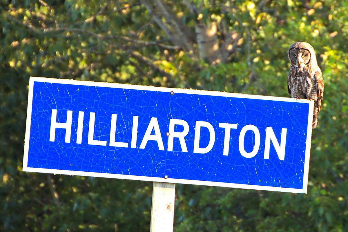 Hillardton street sign
