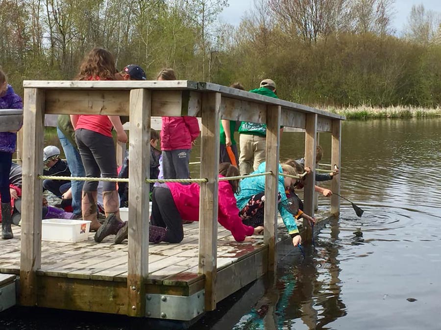 Students crittering dipping on a dock