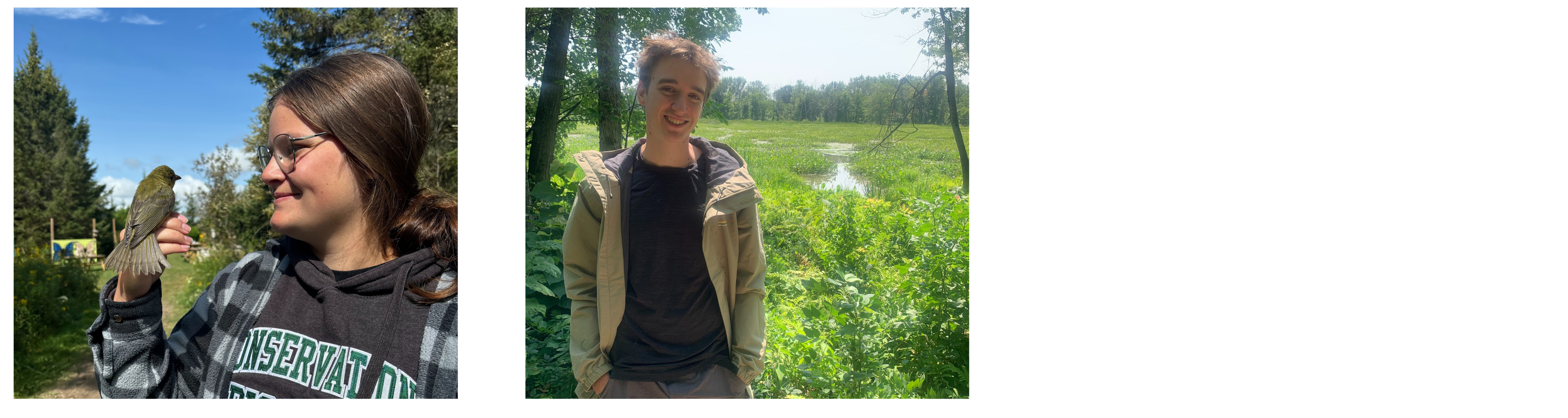 2025 Scholarship Banner