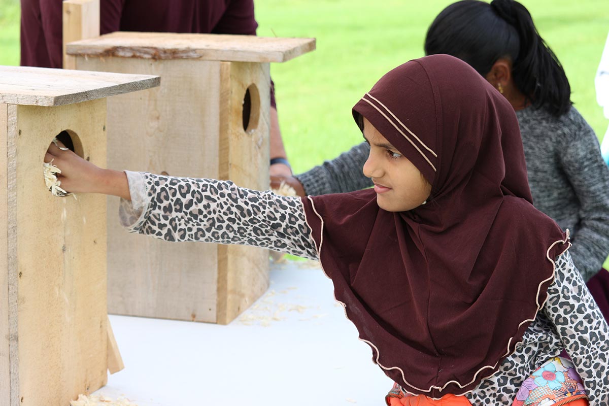 student making a nest box