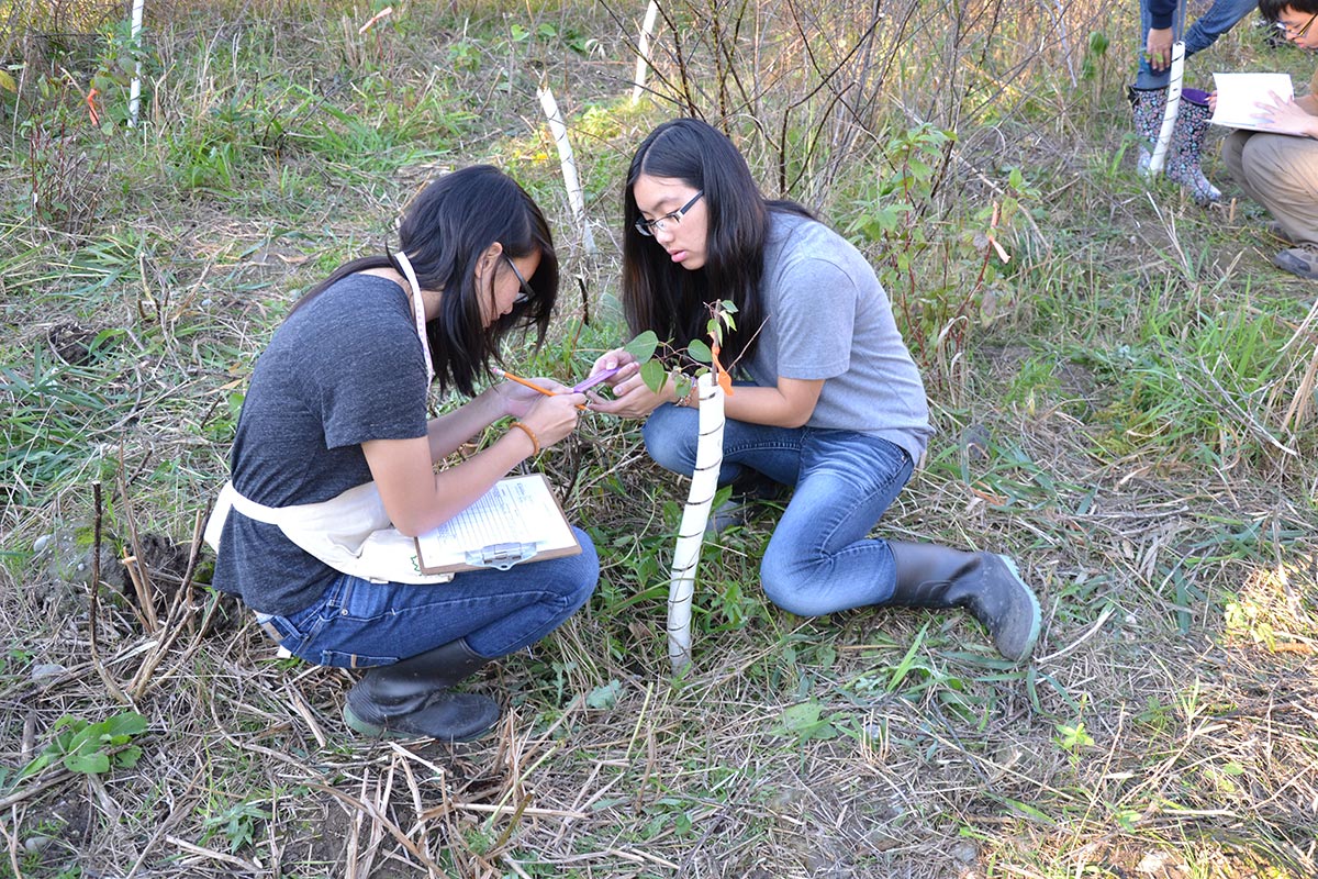 Students on field trip