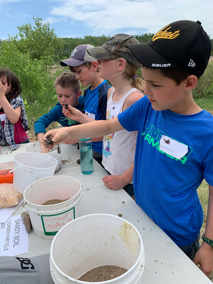 Students inspecting wetland plantlife