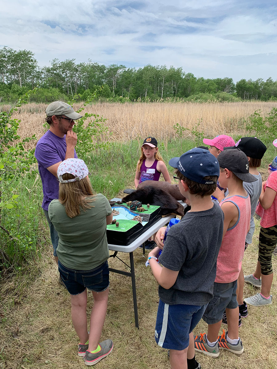 students learning about wetland ecosystem