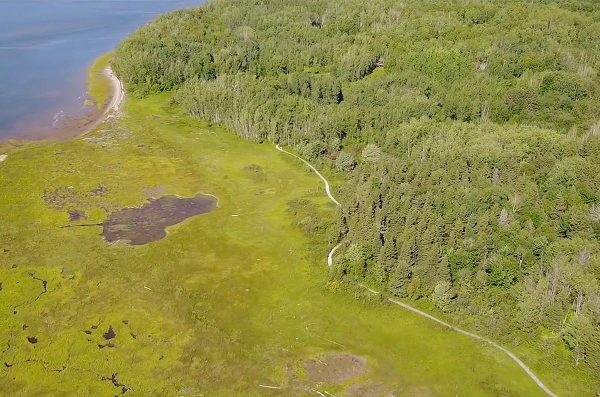 Daly Point Salt Marsh