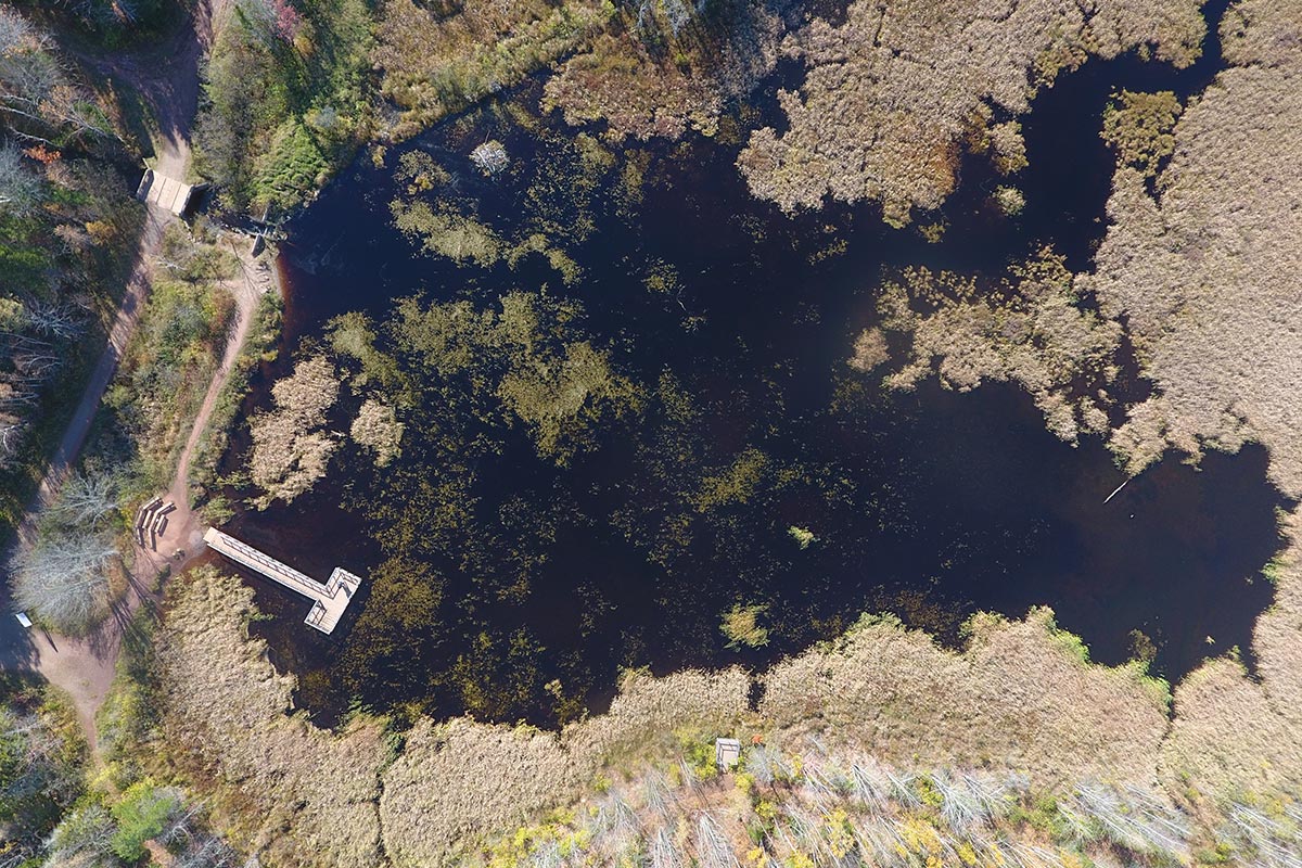 Drone photo of Corbett Brook Marsh