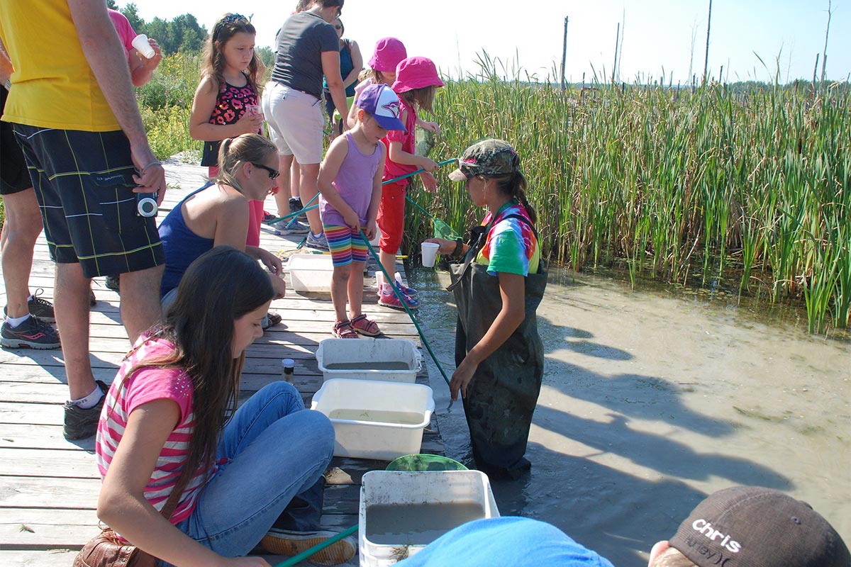 Students critter dipping on a broadwalk
