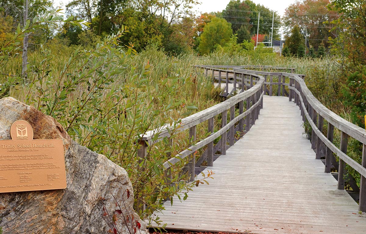 Photo of Marsh boardwalk