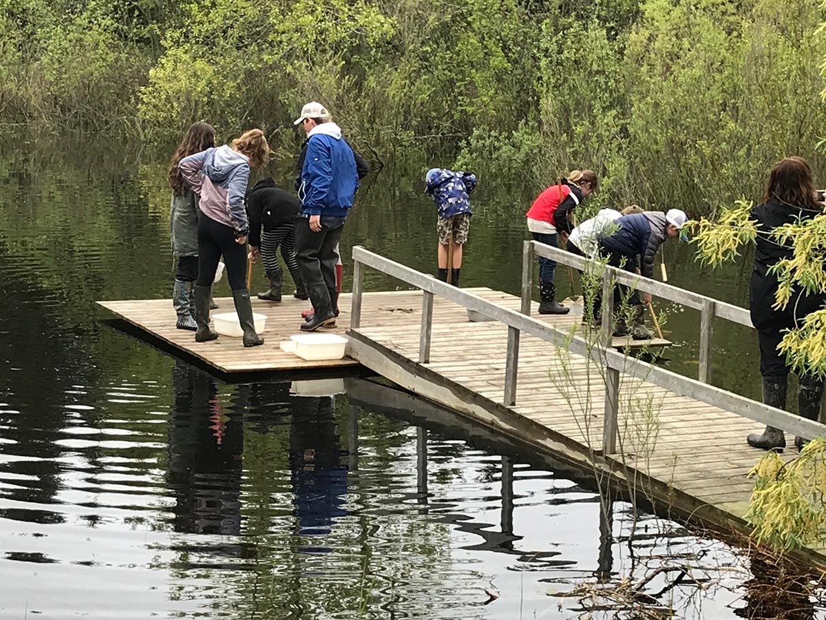 students critter dipping on marsh dock