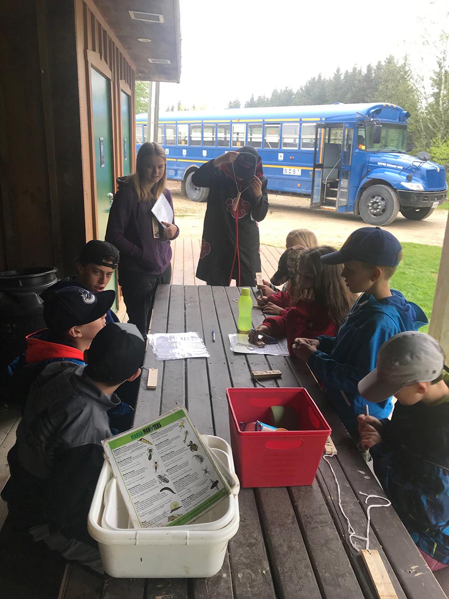 Grade 3 students exploring the marsh