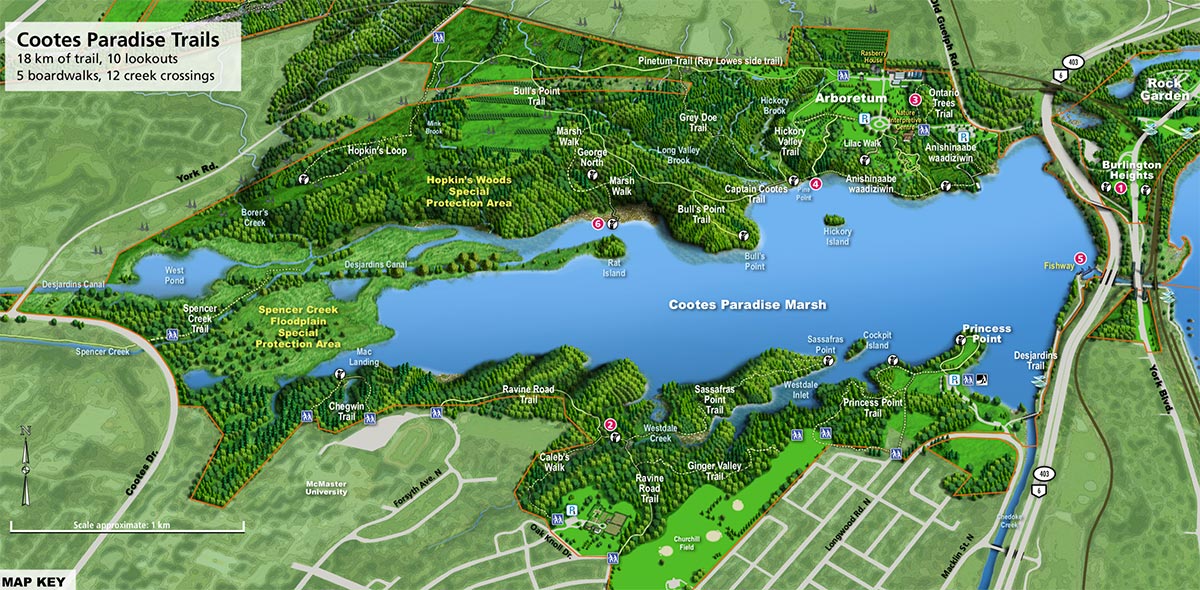 Map of the Royal Botanical Gardens