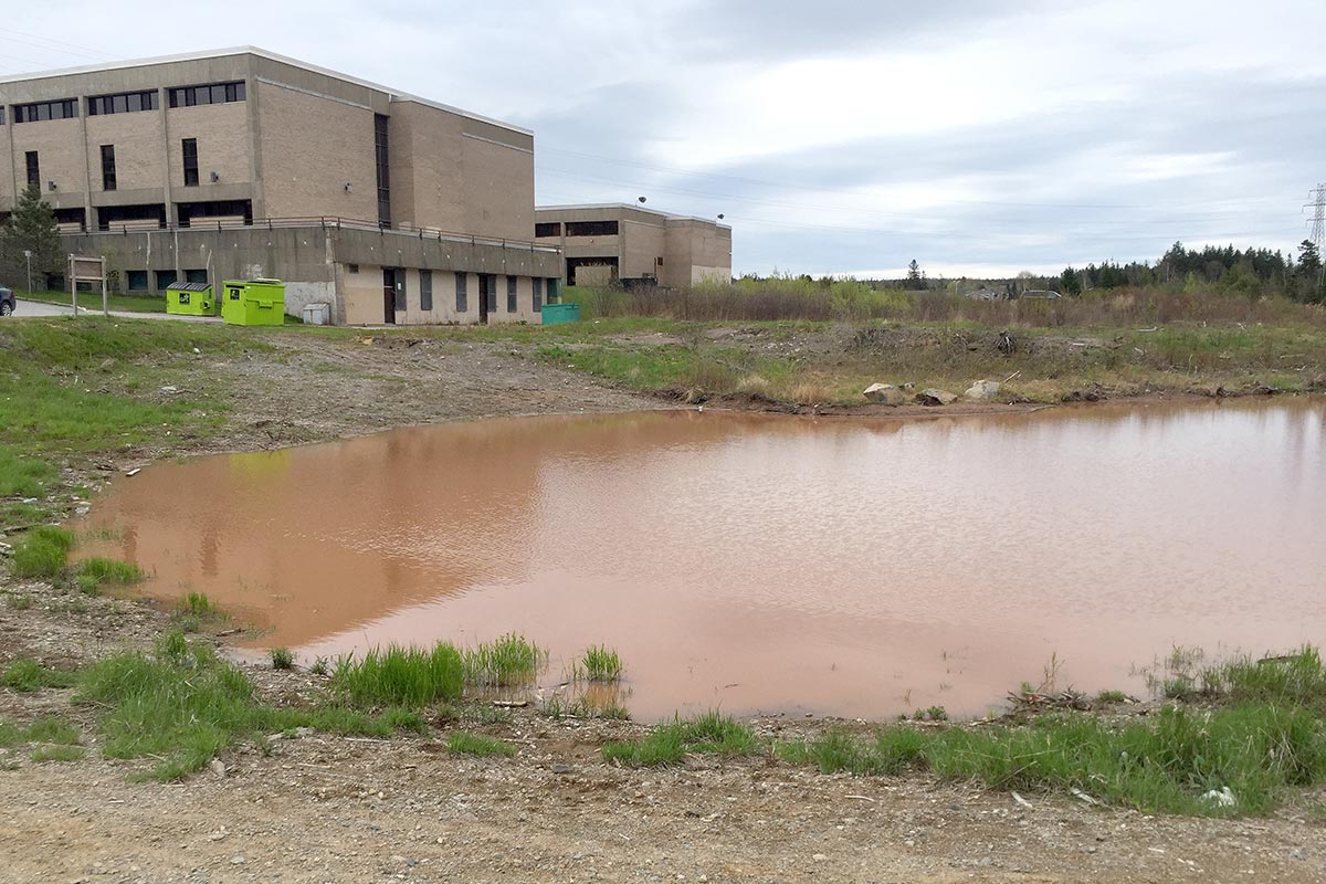 Newly built pond