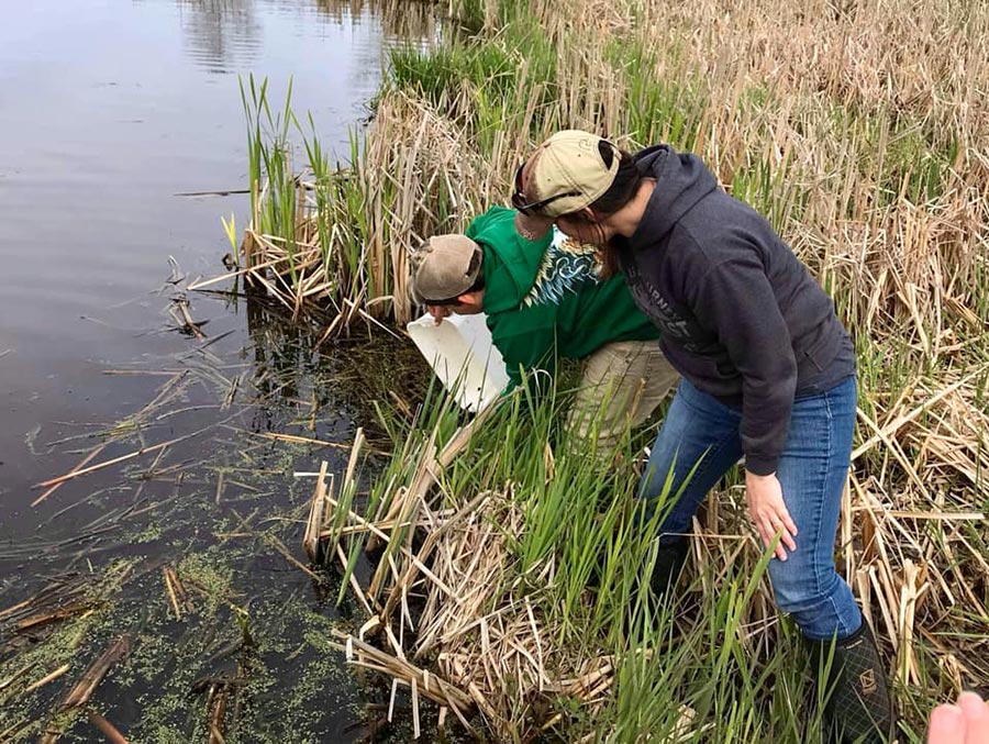 Students getting water samplese