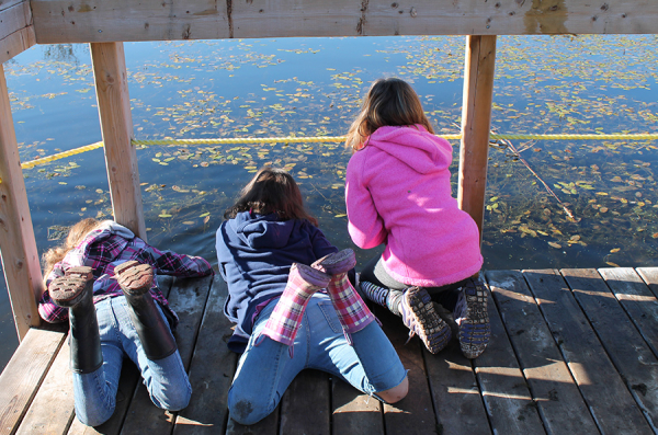 WCE students go critter dipping at Hutt's Marsh in nearby Grafton, NS.